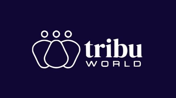 tribu-world-b2b-image